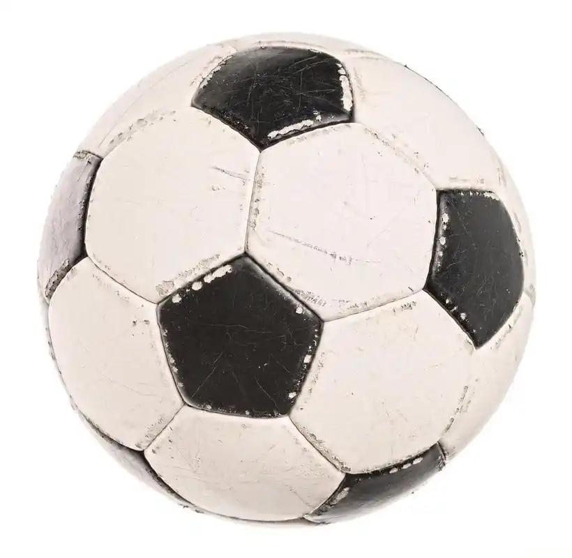 体育行业专业人士使用场景