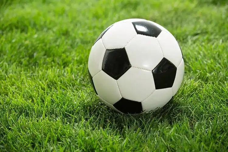 雷速体育足球直播应用界面展示